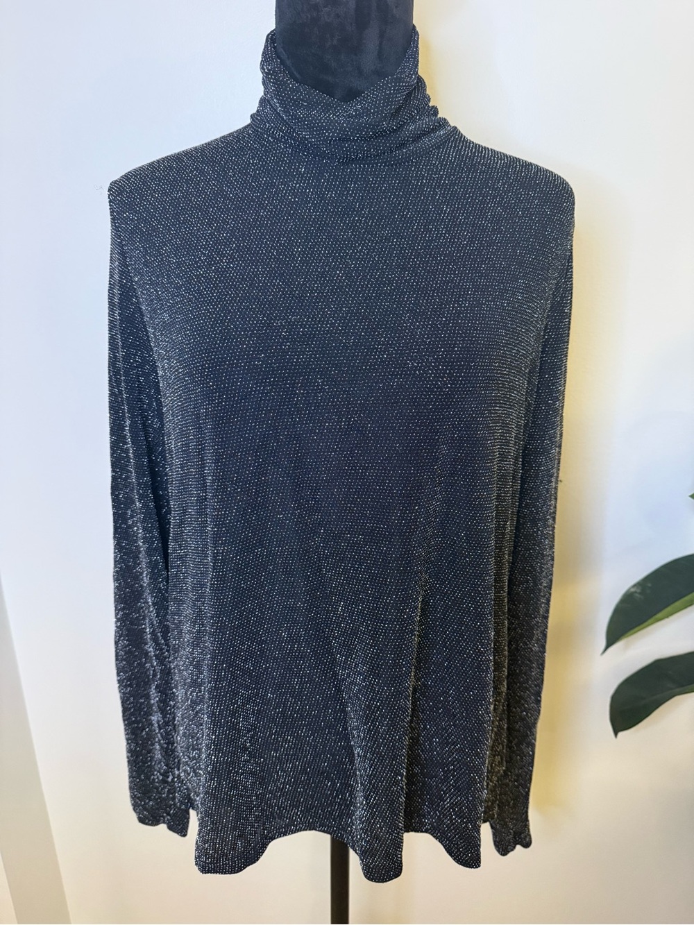 H&M Women’s Sparkle Turtleneck Top - Black